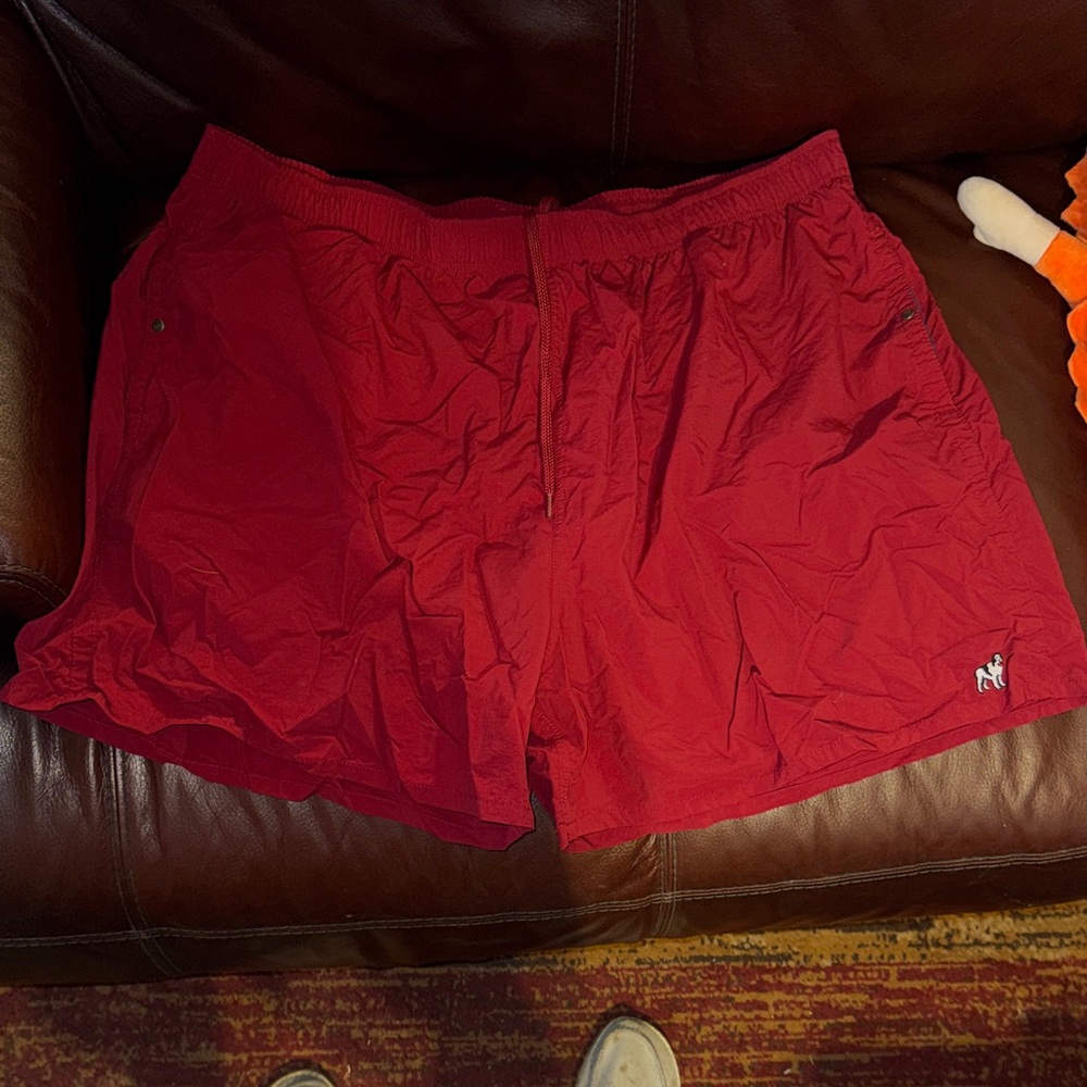 Big Dogs 3X Red Men's Swim Trunks with Small Logo